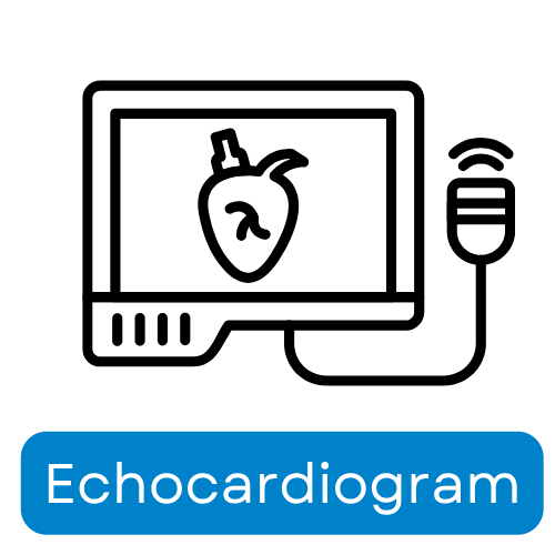 Echocardiogram