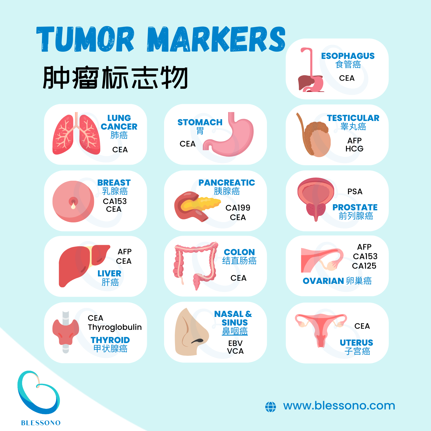 Tumor Markers Screening Infographic 肿瘤标志物信息图